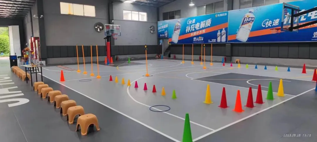 哪里能找到最新的篮球训练和发展策略_2